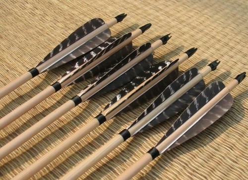 Frecce legno con piume - in,