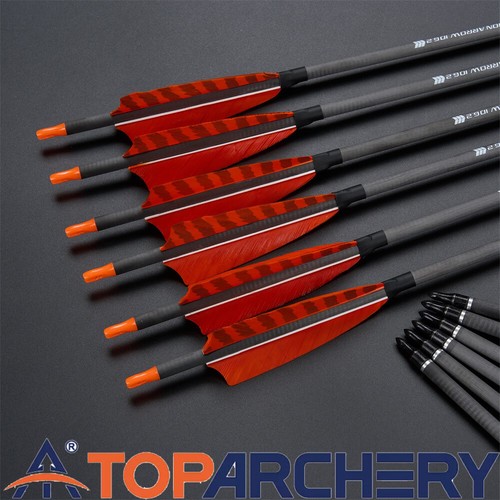 Frecce carbonio piuma - in, 32"