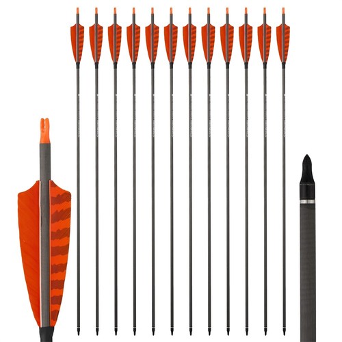 Frecce carbonio tiro - frecce, 32"