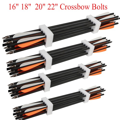 12pcs tiro con arco - 12pcs,