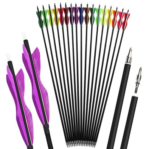 12x frecce carbonio - ,