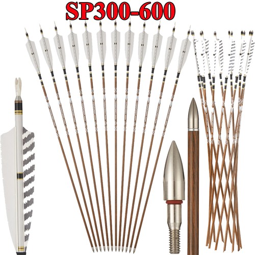 12x sp300 600 frecce - frecce, carbonio