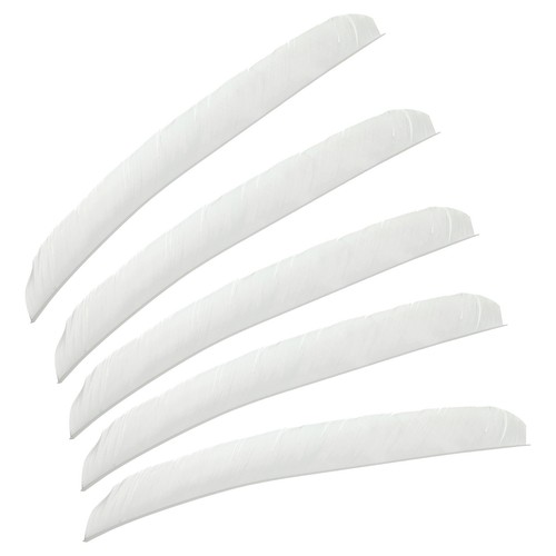 50pcs frecce piume tacchino - 50pcs,