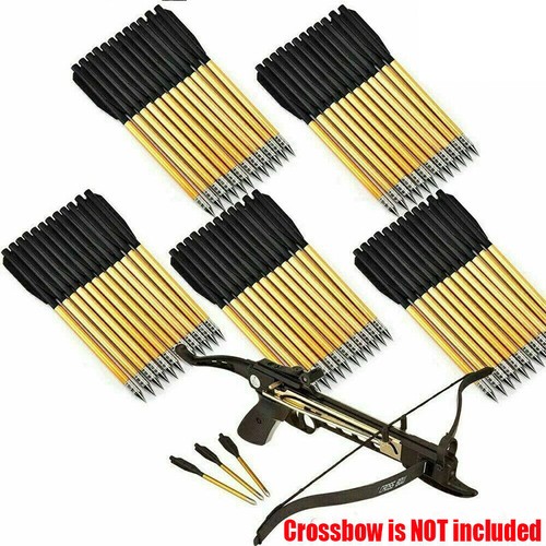 60pcs bulloni da tiro - bulloni,