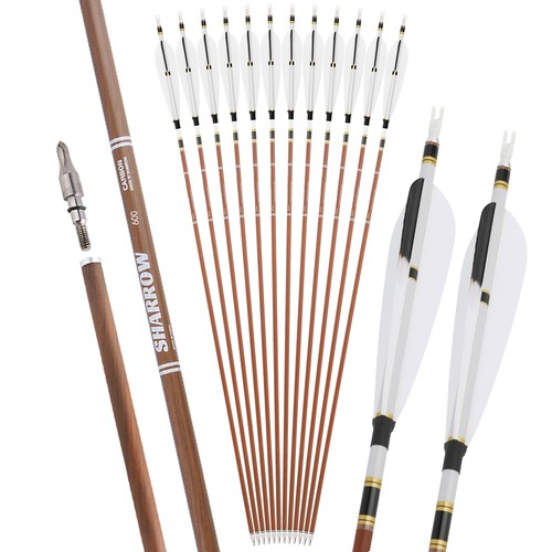 Frecce puro carbonio - frecce, 31"