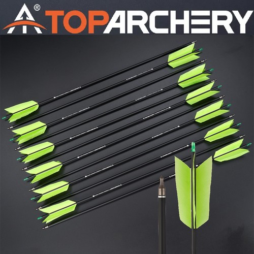 12pcs frecce carbonio - frecce,
