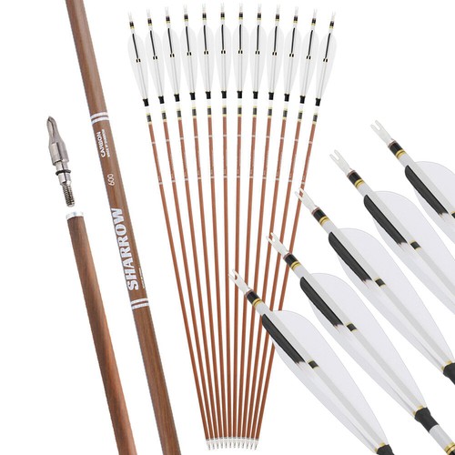 Freccia puro carbonio - puro, 31"